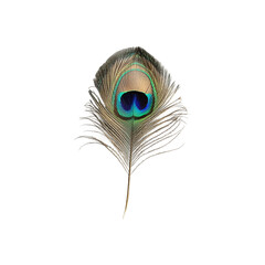Fototapeta premium peacock feather png