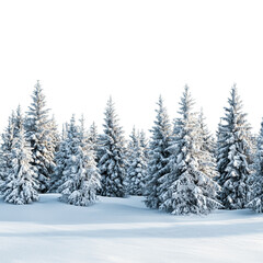 Fototapeta premium snowy landscape with many pine trees covered png
