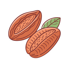 cocoa beans vector icon, cocoa beans vector illustration - simple illustration of cocoa beans, perfect for logos, and cocoa beans -themed designs.