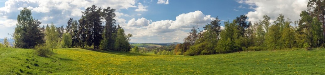 landscape near Velke Mezirici town, meadow and forest