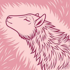 Pink fur texture top view. Pink sheepskin background. Fur pattern. Texture of pink shaggy fur. Wool texture. Sheep fur close up