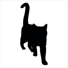 Animal Cat Silhouette vector illustration