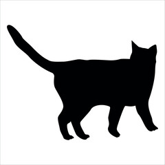 Animal Cat Silhouette vector illustration