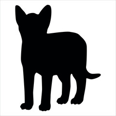 Animal Cat Silhouette vector illustration