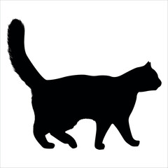 Animal Cat Silhouette vector illustration