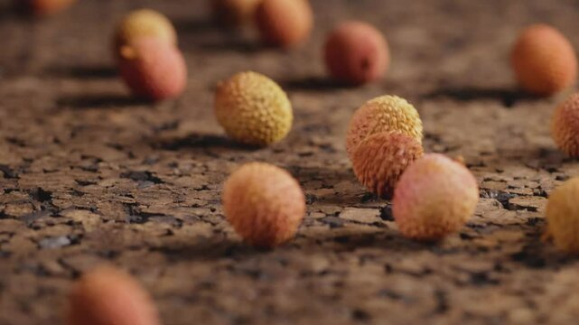 Fresh lychees falling