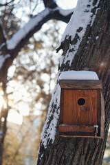 wooden homemade birdhouse for birds hanging on a tree in a winter park on a sunny day