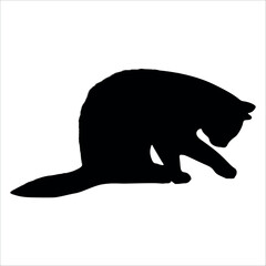 Animal Cat Silhouette vector illustration