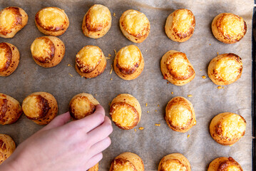 Pogaca stuffed with cheese. A full tray of fresh Pogaca, salty buns with cheese - Pogace.