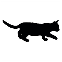 Animal Cat Silhouette vector illustration