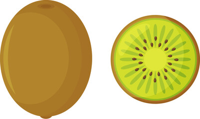 Summer fruits for healthy lifestyle. Kiwi, whole fruit and half. Vector illustration cartoon flat icon isolated on white. Vector illustration © OlgaKlyushina