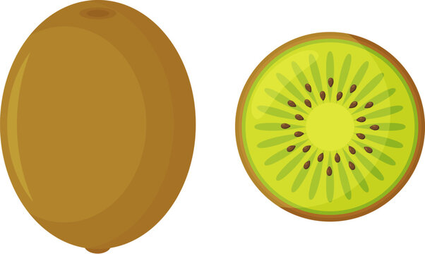 Summer fruits for healthy lifestyle. Kiwi, whole fruit and half. Vector illustration cartoon flat icon isolated on white. Vector illustration