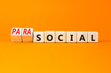 Social or parasocial symbol. Concept words Social or Parasocial on beautiful wooden blocks....