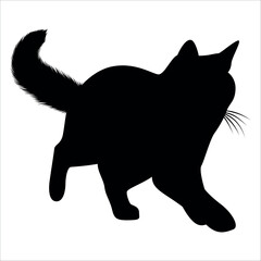 Animal Cat Silhouette vector illustration