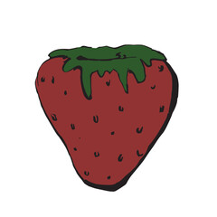 Strawberry vector illustration. Hand drawn berry image.