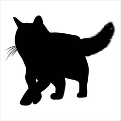 Animal Cat Silhouette vector illustration
