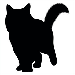 Animal Cat Silhouette vector illustration