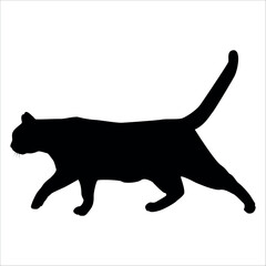 Animal Cat Silhouette vector illustration