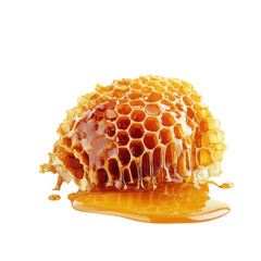 Golden Honeycomb Delight: Sweet Nectar Dripping from Honeycomb Cells