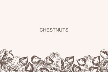 Vector banner with heap Chestnut nuts for text. Hand drawn background card with sketch of chestnut plant, fruits and leaf. Design border for logo, template, print, paper, label, wrapping. Organic food