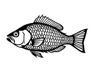 Fototapeta premium Fish silhouette vector style 