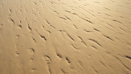 Golden sunlight illuminates rippled sand on beach
