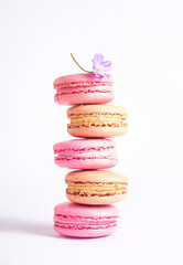 Pink and beige macaroons and mini purpleflower isolated on white background. Photo aesthetics
