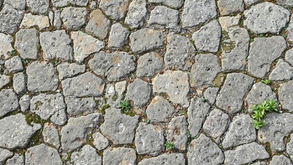 Obraz premium Ancient cobblestone road with weathered stones patches of moss and small plants peeking through