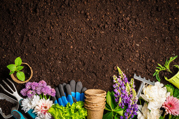 Garden tools and plants