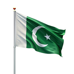 Pakistani flag illustration isolated on transparent background  
