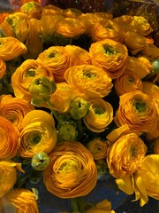 bouquet of yellow flowers