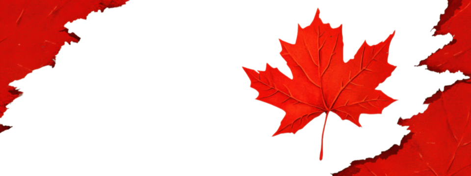Vibrant red maple leaf with jagged edges, showcased against a smooth, uniform backdrop, emphasizing its intricate details and color contrast.