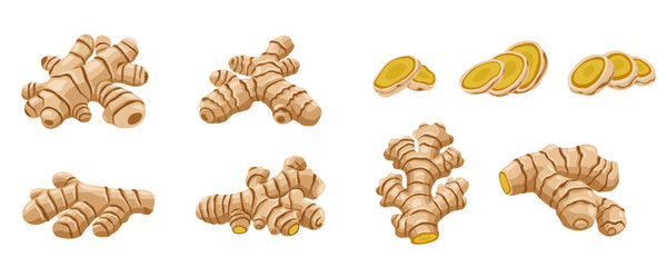 set of ginger vector logo Isolated on white background.	
