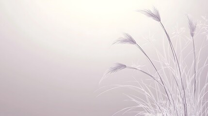Obraz premium Elegant Grasses in a Soft Lavender Haze