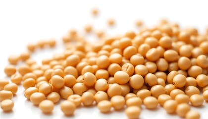 Close-up of Organic Soybeans - High-Quality Protein Source
