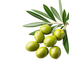 Fresh green olives with lush leaves on branch isolated on white background. Perfect for culinary presentations or healthy lifestyle concepts.
