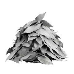Pile of Dried Leaves Black and White Photography Still Life Monochrome Nature