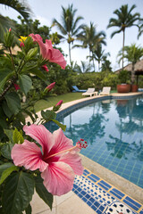 Vibrant Hawaiian Hibiscus (Hibiscus rosa-sinensis) Near a Pool, Adding Tropical Color to Your Garden