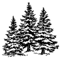 Tall evergreen trees covered in snow create a serene winter landscape suitable for seasonal decorations and art