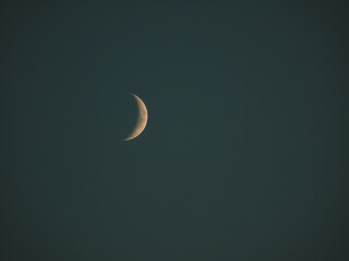 moon in the night