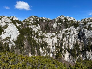 Strict reserve of rocky limestone peaks Hajducki and Rozanski kukovi - Northern Velebit National Park, Croatia (Strogi rezervat Hajdučki i Rožanski kukovi - Nacionalni park Sjeverni Velebit, Hrvatska)