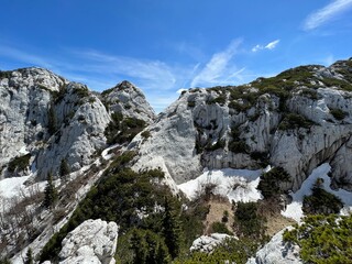 Strict reserve of rocky limestone peaks Hajducki and Rozanski kukovi - Northern Velebit National Park, Croatia (Strogi rezervat Hajdučki i Rožanski kukovi - Nacionalni park Sjeverni Velebit, Hrvatska)
