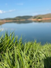 Obraz premium grass and blue sky