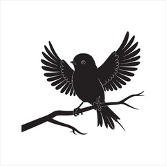  bird silhouette vector  illustration  .