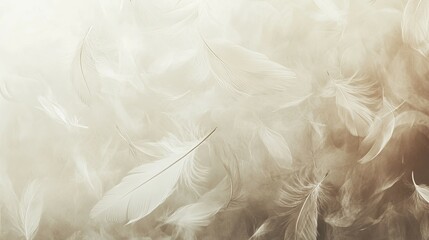 Obraz premium Serene White Feathers: A Soft, Dreamlike Art Print