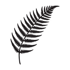 Fern Leaf Silhouette Botanical Illustration