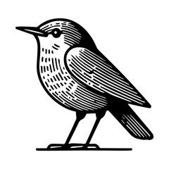 Naklejka premium Simple Vector Icon of a Rhine Leuciscus – Logo Design Illustration