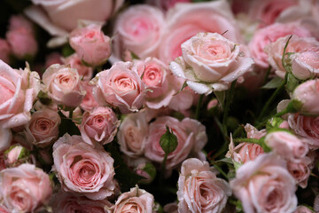 bouquet of roses