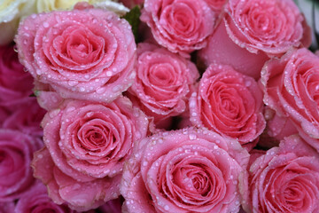 bouquet of roses