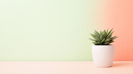 Fototapeta premium Minimalist Succulent Plant in White Pot on Wooden Table